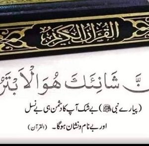 Meet your Posher, Saima